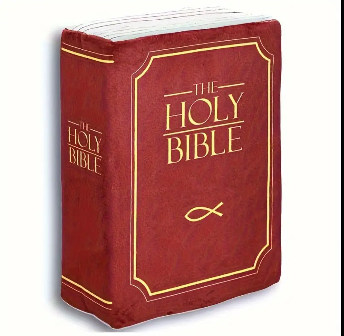 (RED) BIBLE SHAPED THROW PLUSH CORINTHIANS 1:13