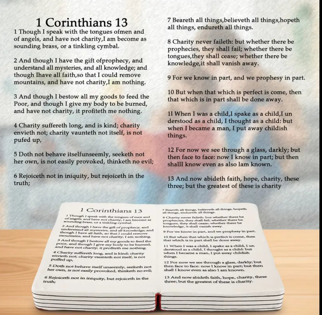 (RED) BIBLE SHAPED THROW PLUSH CORINTHIANS 1:13